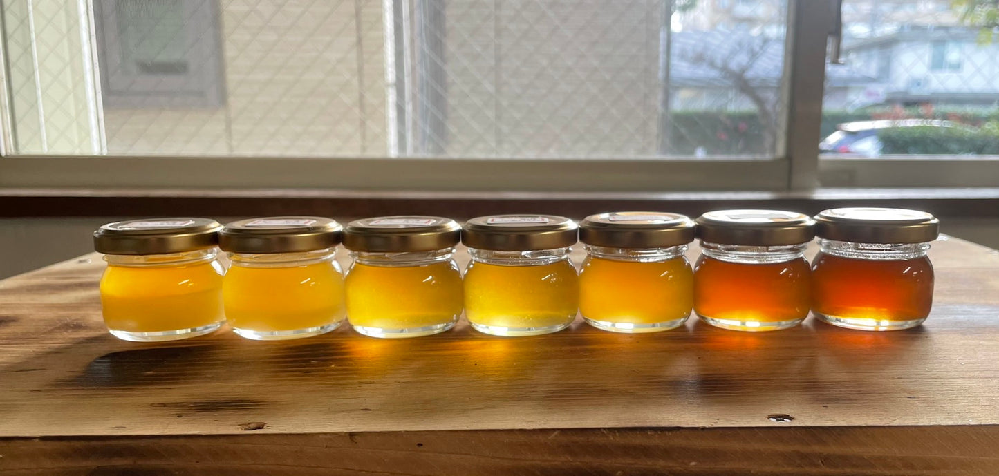 国産非加熱生はちみつ『神沼の琥珀』